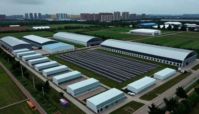 运维服务如何适应数字化转型的业务趋势